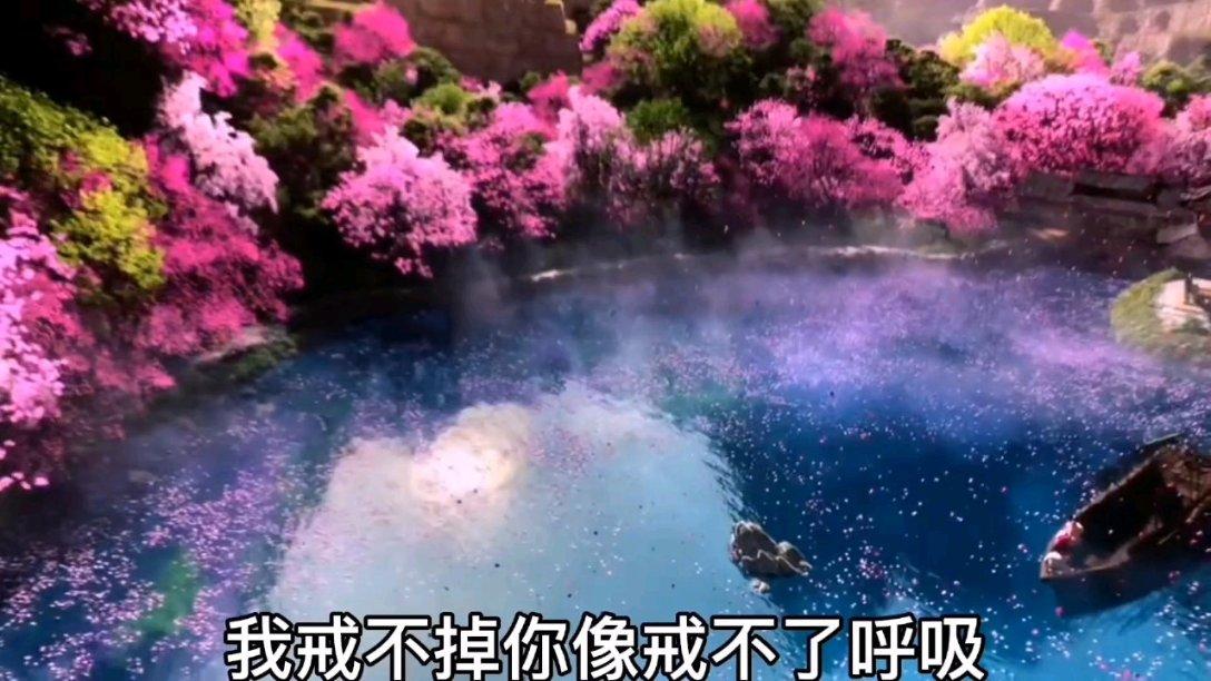 花与剑