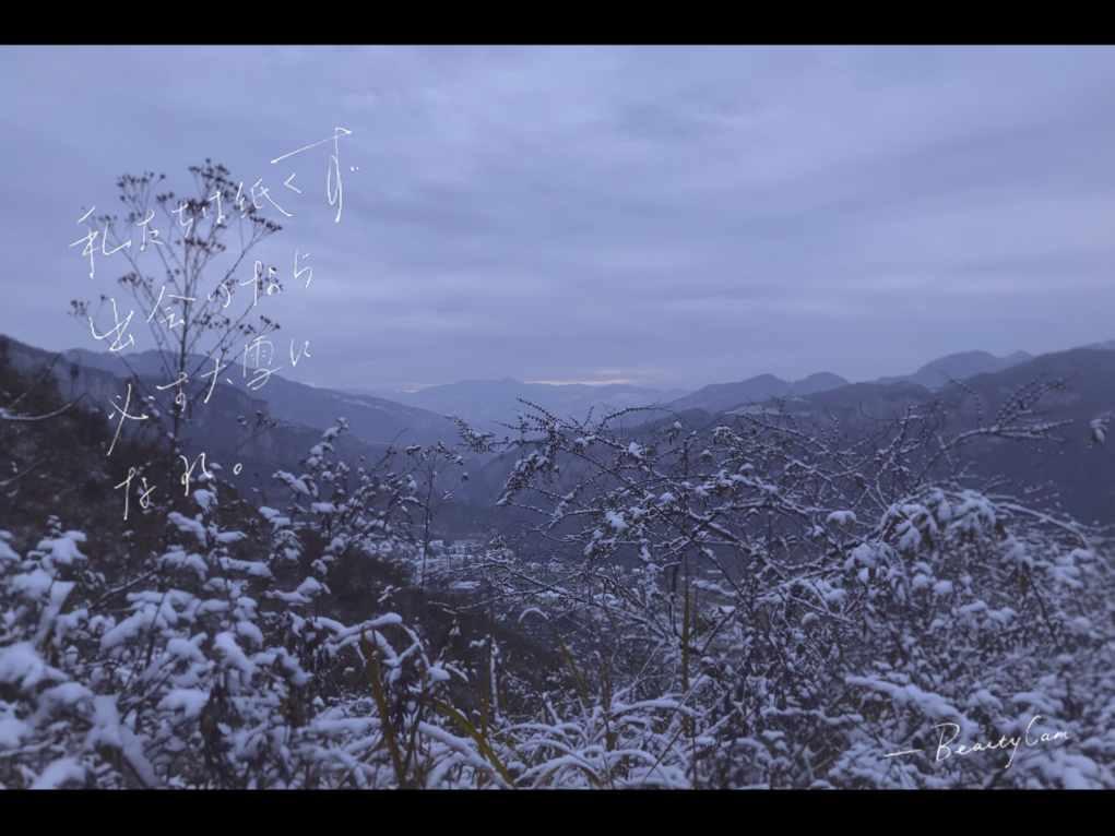 雪天路滑,女子开车刹车紧张程度100%,网友:前边大哥方向盘都快捏碎了