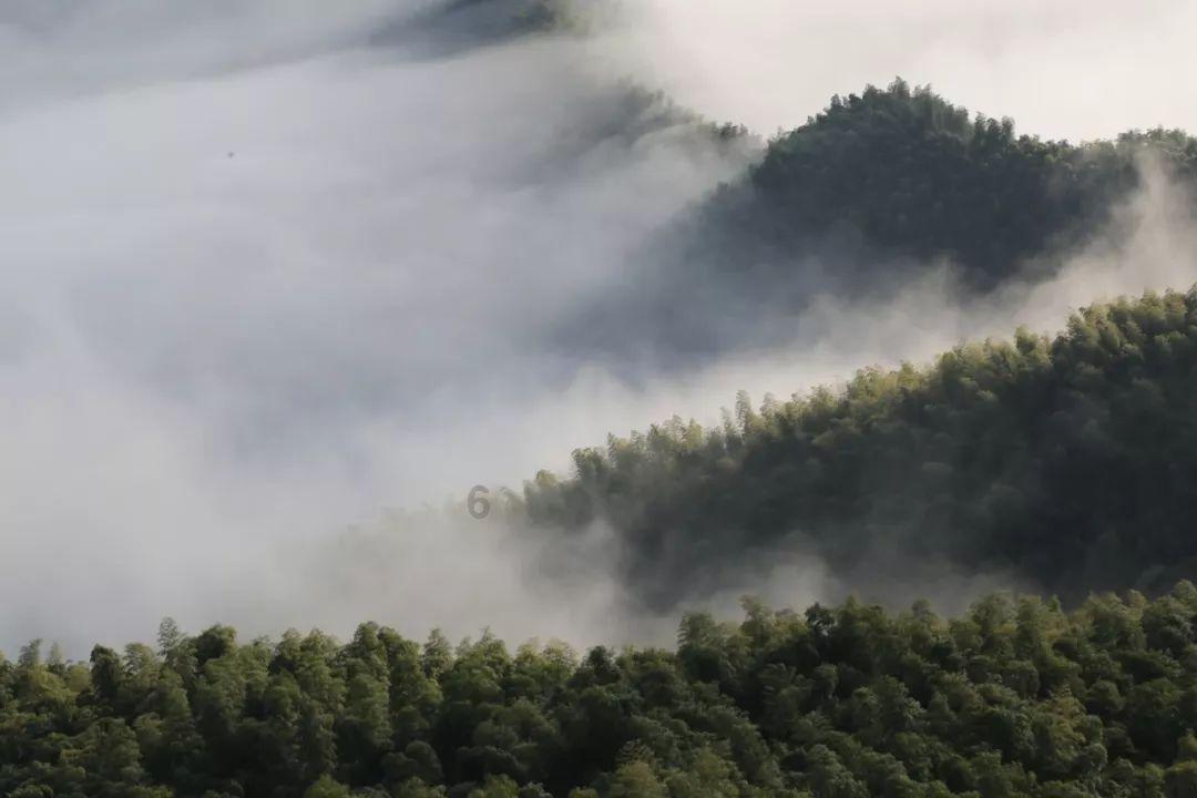 给幸福生活“上分”