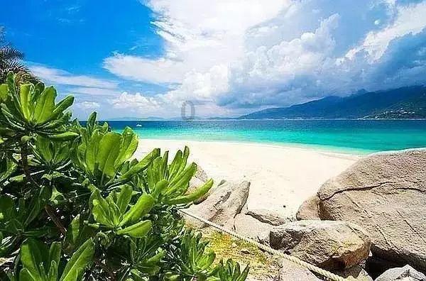 发现冷知识,尽在应用app查询平台 - 知识分享平台