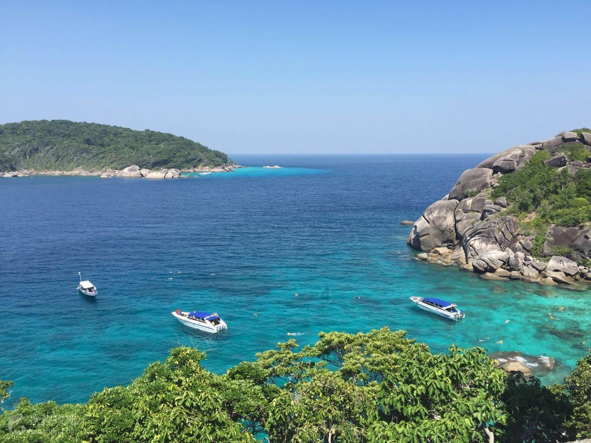 空间相邻、线上相融、资源相通 泰州医药高新区(高港区)“两中心一平台”揭牌
