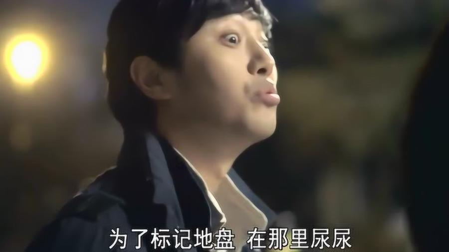 救援应届毕业生