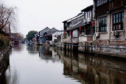 芦苇干枯存隐患 全面排查并消除